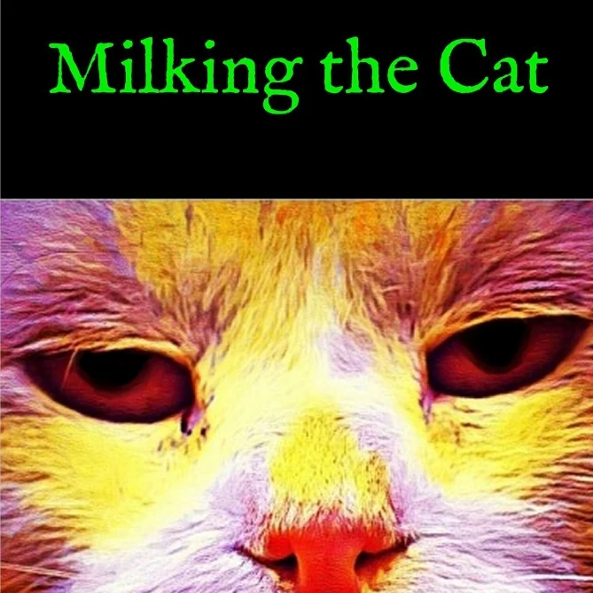 THE CURIOSITY OF MILKING THE CAT